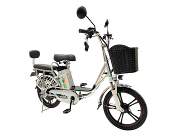Электровелосипед GreenCamel Транк 18 V8 (R18 250W 60V 13Ah)