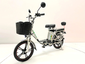 Электровелосипед GreenCamel Транк 18 V8 (R18 250W 60V 20Ah) - Фото 1
