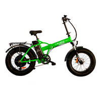 Elbike Taiga 2 Elite (Зеленый)