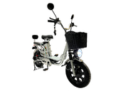 Электровелосипед GreenCamel Транк Монстр PRO (R16FAT 500W 60V20Ah) - Фото 0