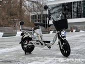 Электровелосипед GreenCamel Транк Монстр PRO (R16FAT 500W 60V20Ah) - Фото 1