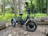 Электровелосипед GREEN CITY e-ALFA Trike - Фото 17