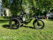 Электрический трицикл фэтбайк GreenCamel Трайк-F20 (R20FAT 500W 48V12Ah) - Фото 2