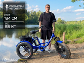 Электрический трицикл фэтбайк GreenCamel Трайк-F20 (R20FAT 500W 48V12Ah) - Фото 19