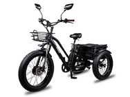 Minako Trike